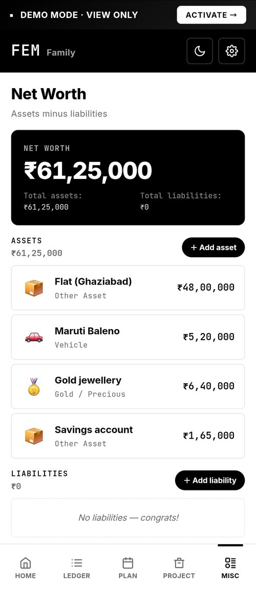 FEM — Net worth