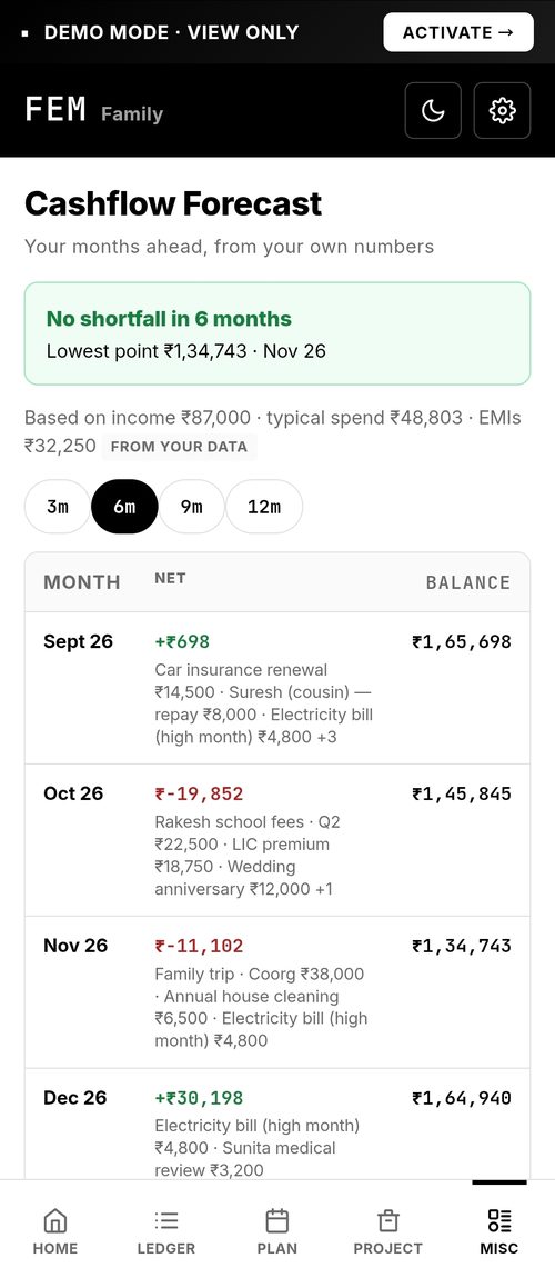 FEM — Cashflow forecast